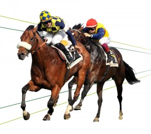 Regina_Elena_2016-1_modificato-1