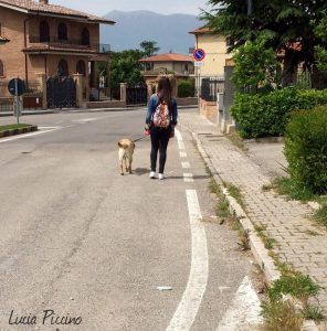 13537733_1236811566359553_1936445780059880588_n