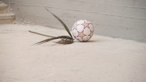 ghibellina mamma figlio e architetto