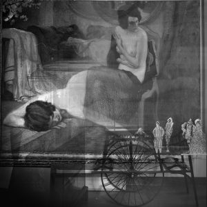 ghibellina ultime immagini