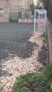 wp_20160607_18_46_34_pro