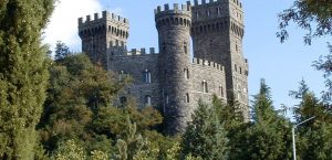 castello_di_torre_alfina_2004