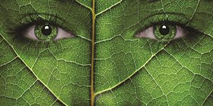 9f6ad8a060e8e0fbd4959771b423561e_l