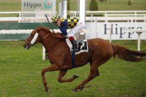 f_branca_sound_of_freedom_ph_hg_d_savi_omx2585