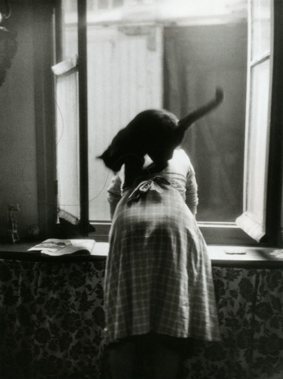 from-les-chats-de-willy-ronis-paris-1954-willy-ronis-1344798960_org