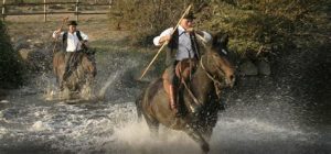 indimenticabili gite in maremma