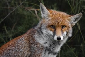indimenticabili gite in maremma