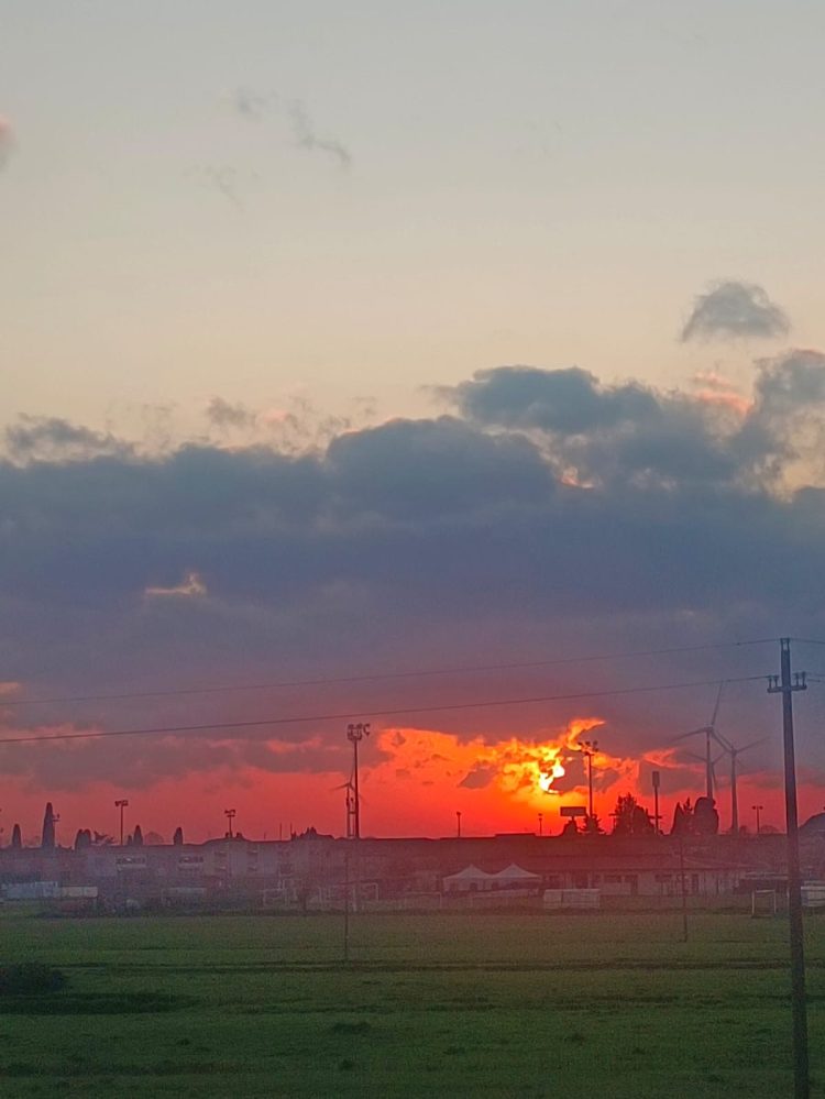 Dove sono gli amici miei?